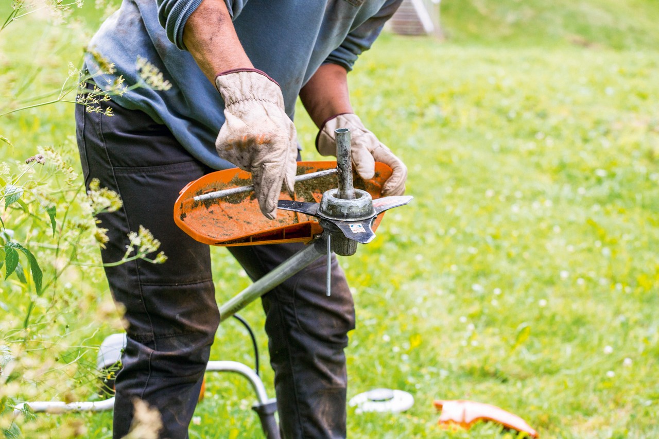 刈払機STIHL FS 131のメンテナンスでカッティングヘッドを清掃している様子