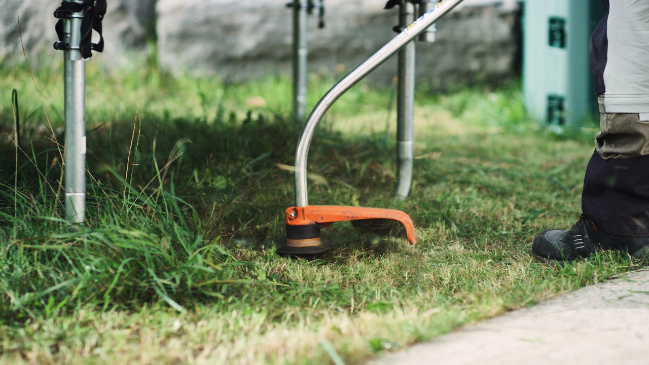 エンジン刈払機STIHL FS 38で芝生のキワ刈りをしている様子